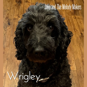 Wrigley
