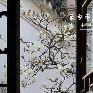常清静