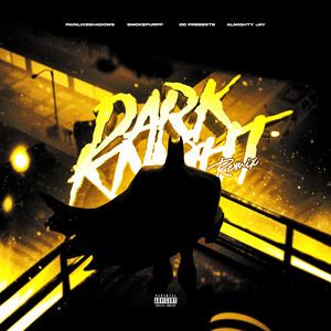 DARK KNIGHT (Shadows Mix)