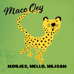 Morjes, hello, hejsan