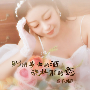 别用李白的酒浇杜甫的愁 (DJ何鹏版)