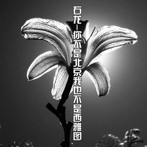 几度梦回大唐 (Remix)