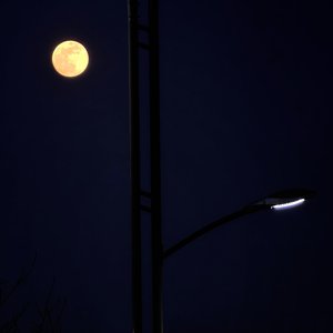 巷中月光（月光与故乡）