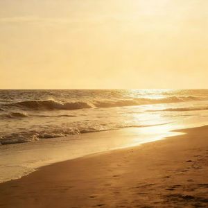 明明是戏 偏偏入局