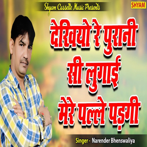 Deikhiyo Re Purani Si Lugai Mere Palle Padgi