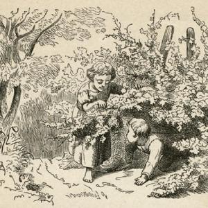 柳树下的梦（Ft.重影CY）