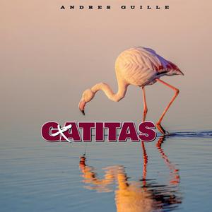 Gatitas