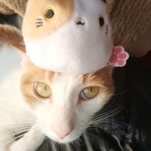 Kids Only（Cover 窦靖童）