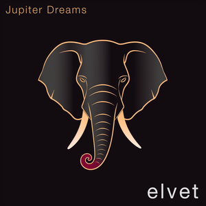 Jupiter Dreams