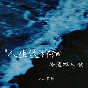 人生这杯酒 苦涩难入喉 (伴奏)