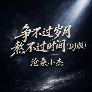 争不过岁月熬不过时间(DJ版)