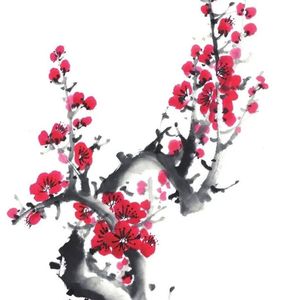 腊梅雪
