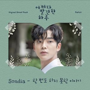 从未说过的故事（翻自 Sondia）