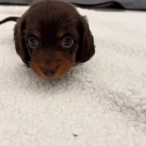 ASTROTHUNDER (sped up)