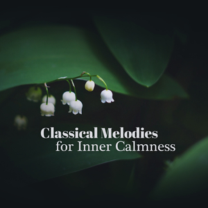 Sonatine: III. Animé