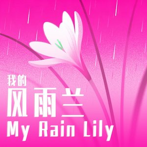 我的风雨兰
