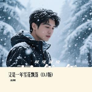 又是一年雪花飘落（DJ版）