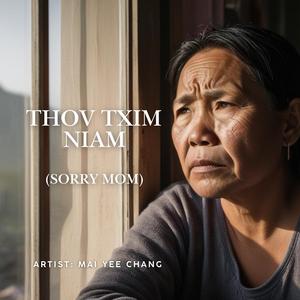 Thov Txim Niam (Sorry Mom)