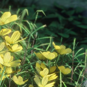 命名混沌以剥夺其力量