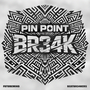 Pin Point Br34k