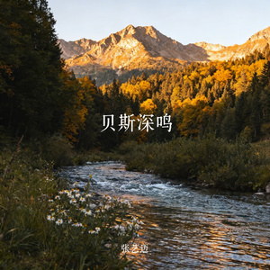 贝斯深鸣