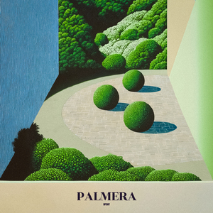 Palmera