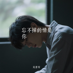 忘不掉的情是你