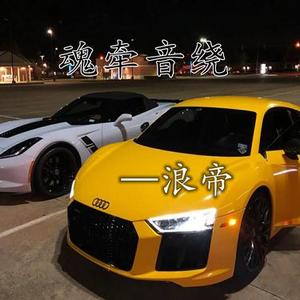 不甘落魄 (DJ版)