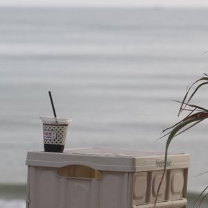 追光 ——洛天依