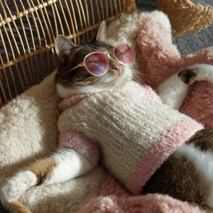 แพ้หนวด