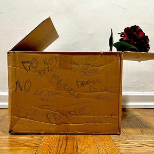 Schrödinger (Poet's Eyes)