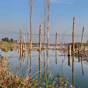 时间冲淡记忆波澜