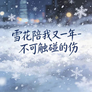 雪花陪我又一年
