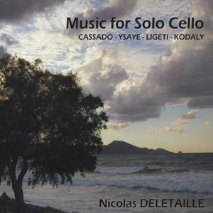 Sonata for Solo Cello, Op. 8: I. Allegro maestoso ma appassionato