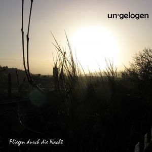 Fliegen durch die Nacht