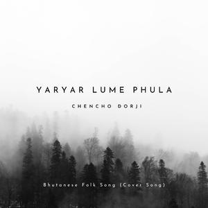 Yaryar Lume Phula