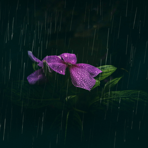 Oh, Mother (Nature Mix)