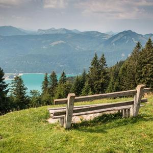 目が覚めてアコースティックギターを弾くと、スムーズな無料の鳥が私を訪ねてきます