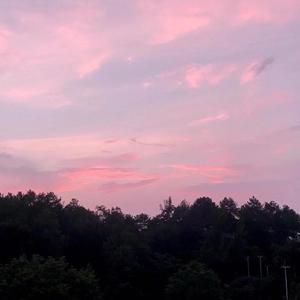 逼哥-关于郑州（医生 remix）