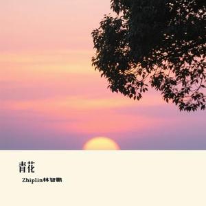 青花 (Cover 大头针)