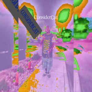 Consequences and Reprocushions