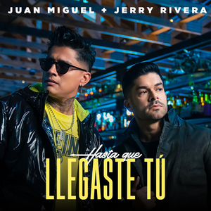 Hasta Que Llegaste Tú