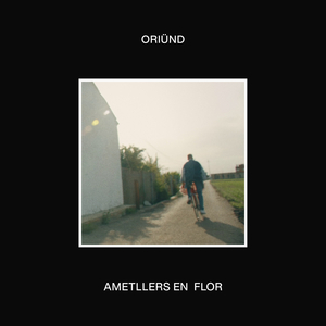 Ametllers en flor