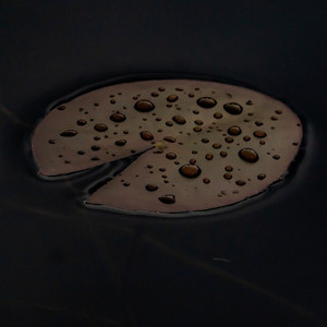 城ヶ島の雨 - 高音質ハーモニカ＆ピアノ