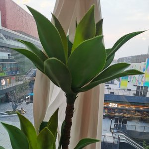 已是千万里