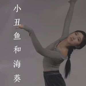 小丑鱼和海葵
