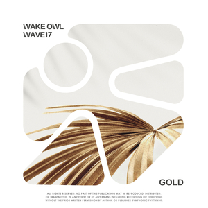 GOLD (Noah Hyde Remix)