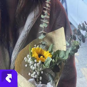 静逸的夜晚 (现场)