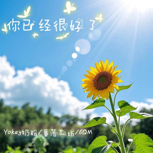 你已经很好了 (伴奏)