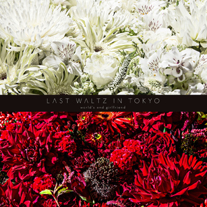 We are the massacre (LIVE)